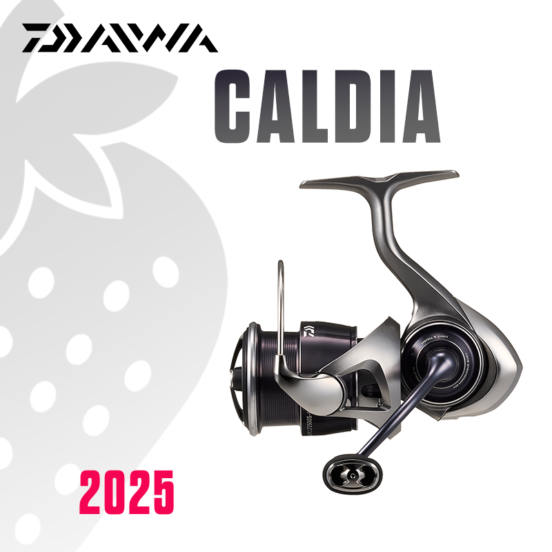 DAIWA 2025 CALDIA LT Fishing R - Daiwa Reel Bg ulasan dan harga